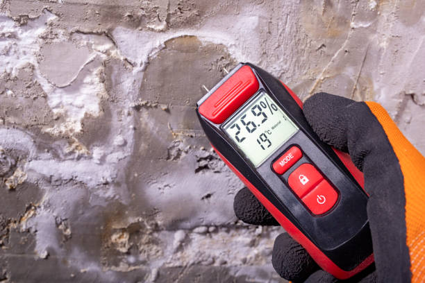 Best Mold Damage Repair  in Oro Valley, AZ